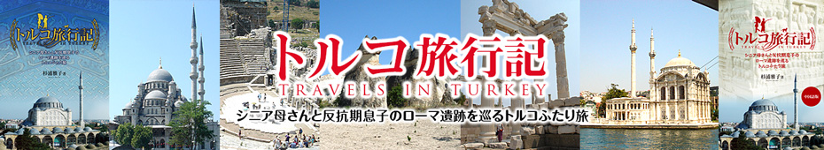 トルコ旅行記　～シニア母さんと反抗期息子のローマ遺跡を巡るトルコふたり旅～